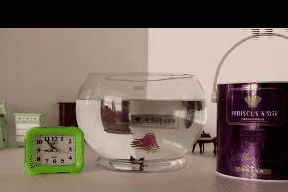 水利萬物而不爭 水電工程監理的智慧與擔當